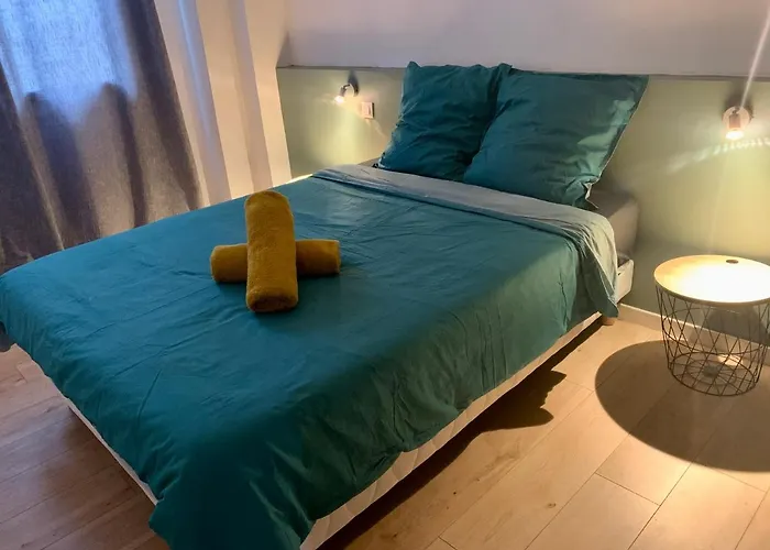 Spacieux Appartement Lumineux Coeur De Ville
